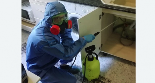 Уничтожение муравьев в квартире. Салехард