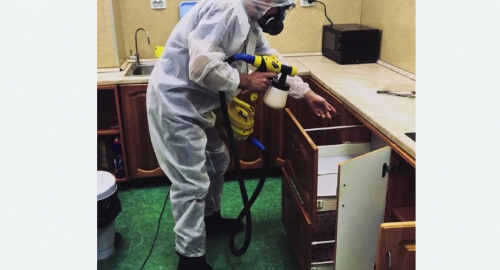 Уничтожение насекомых в квартире. Салехард