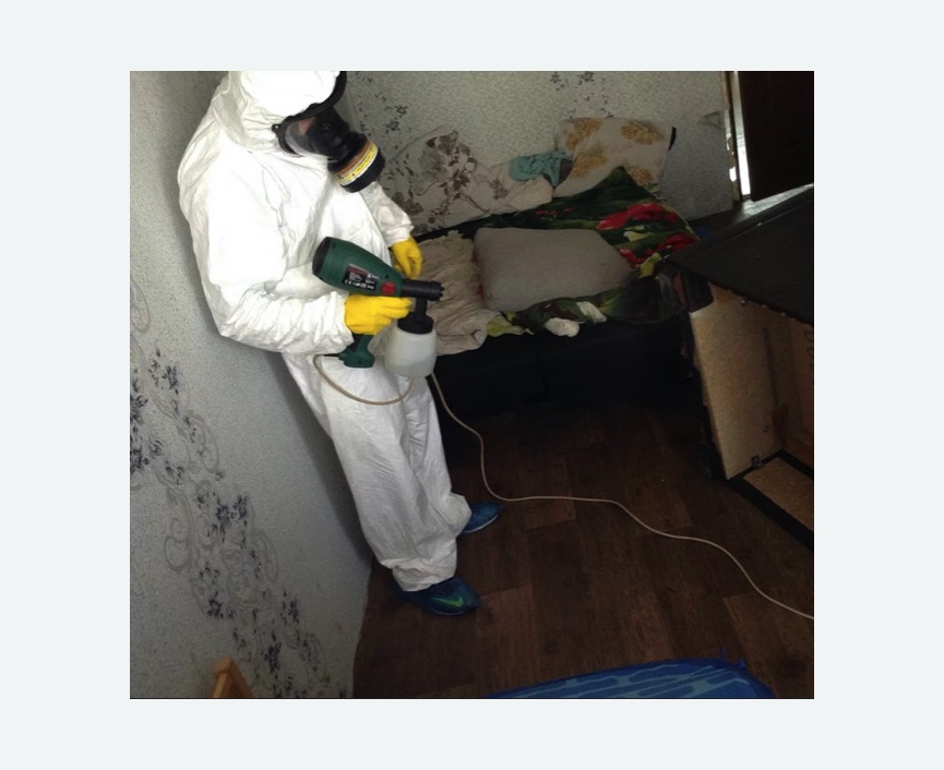 Обработка от насекомых в Салехарде Обработка квартиры от насекомых