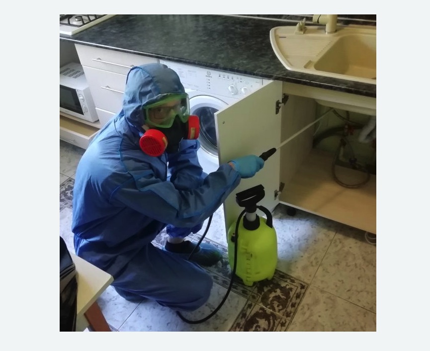 обработка от муравьев в квартире в Салехарде